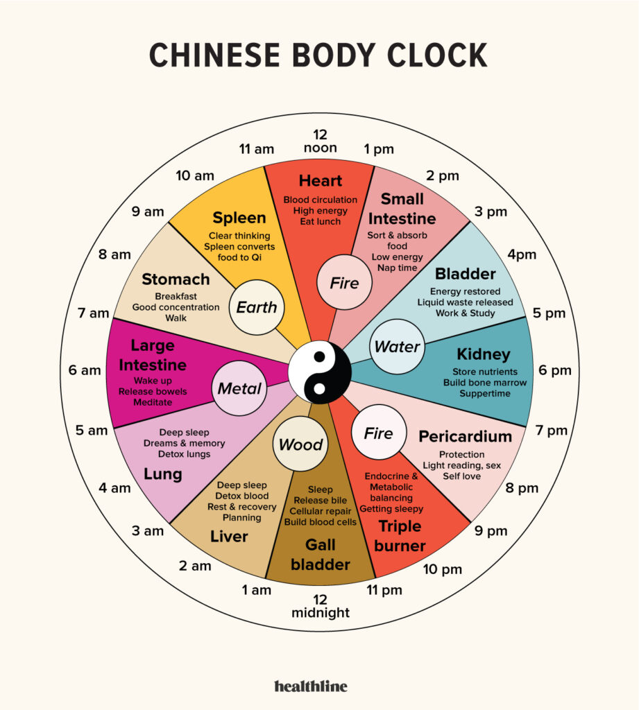 This image has an empty alt attribute; its file name is 319288_chinesebodyclock_body_1296x1441-921x1024.jpg